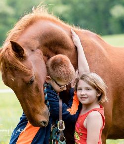 Photo Challenge: 36 Horses Feeling the Love