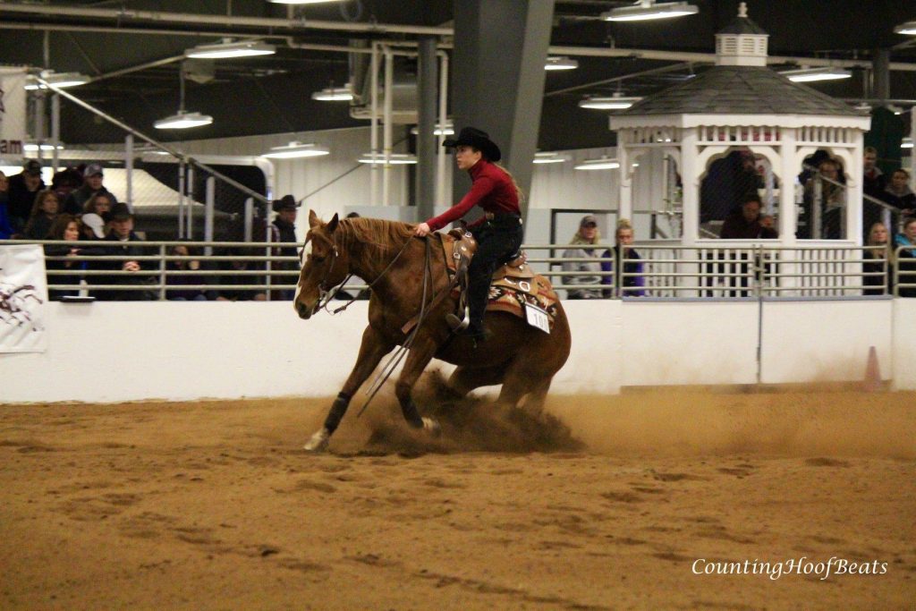 The Academic Equestrian: Horses First in Catch Riding | HORSE NATION