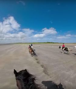World Equestrian Brands Helmet Cam: Life’s a Beach