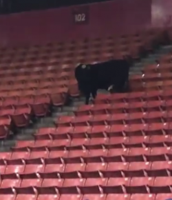 Kentucky Performance Products ‘Oh Crap’ Monday