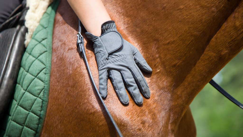 Incorporating Mindfulness Game Changer for Horse & Rider HORSE NATION
