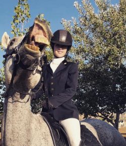 Photo Challenge: 20 Super Derpy Horse Faces