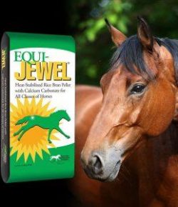 Kentucky Performance Products: Why Choose Equi-Jewel?