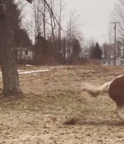 Kentucky Performance Products ‘Oh Crap’ Monday