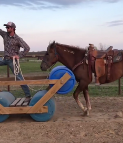 Total Saddle Fit Tuesday Video: They See Me Rollin’