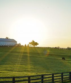 Navigating the ‘Difficult Talk’ at the Barn, Presented by Draper Therapies