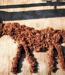 Photo Challenge: 3 Horse Hair Horses