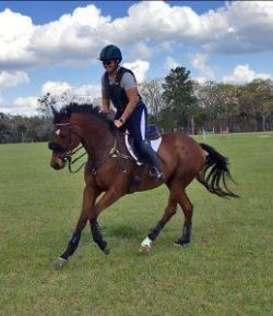 Kentucky Performance Products: Patience Is a Virtue