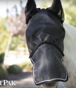 Monday PM Feed From SmartPak: Fly Mask Shopping