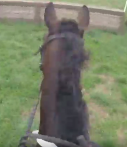 World Equestrian Brands Helmet Cam: A Bit Keen