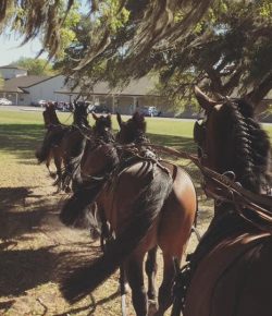 Photo Challenge: 25 Driving Readers