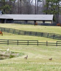 Kentucky Performance Products: Why Turnout Is Important