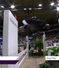 Total Saddle Fit Tuesday Video: Steve Guerdat