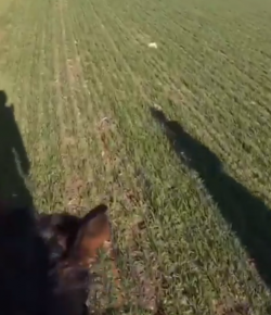 World Equestrian Brands Helmet Cam: Spring Fever