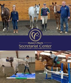 Standing Ovation by Ovation Riding