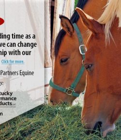 Kentucky Performance Products: The Dump & Run