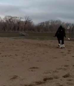 Kentucky Performance Products ‘Oh Crap’ Monday