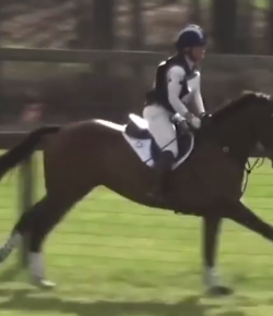 Total Saddle Fit Tuesday Video: Stirrup-Free XC