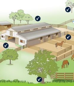 SmartPak Monday Morning Feed: Time to Deploy in the War on Flies
