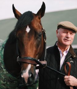 Standing Ovation by Ovation Riding