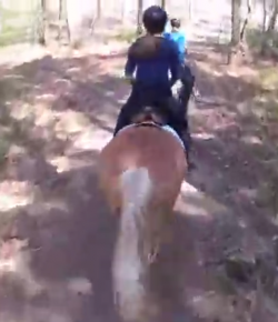 World Equestrian Brands Helmet Cam: More Ponies!