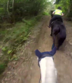 World Equestrian Brands Helmet Cam