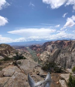 Photo Challenge: 31 Brilliant Springtime Vistas