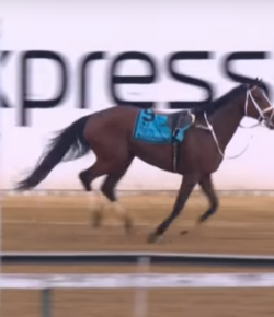 Kentucky Performance Products ‘Oh Crap’ Monday