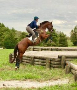 Kentucky Performance Products: The Ups & Downs of Training