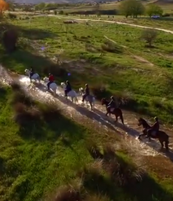World Equestrian Brands Drone Cam: Fun With Friends