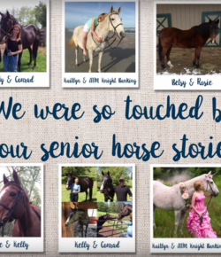 SmartPak Monday Morning Feed: Love of the Senior Horse