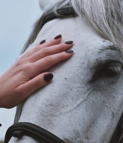 Let’s Discuss: Are Equine Service Professionals Complicit in the Poor Care of Their Clients’ Horses?