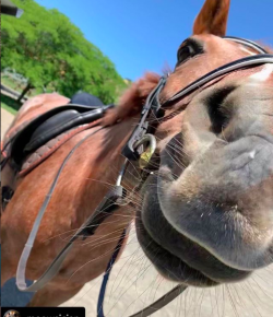 #goriding ‘Grams of the Week