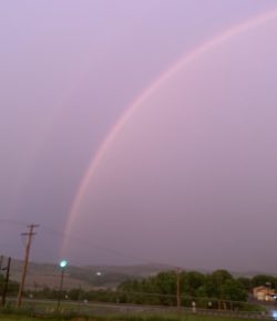 Any Time You Haul a Horse, You Know You’re In For an Adventure