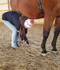 SmartPak Monday Morning Feed: How to Maintain Sanity Through Months of Rehab