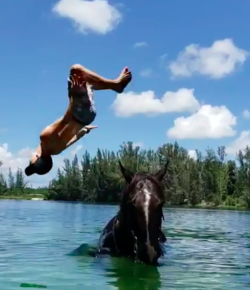 Total Saddle Fit Tuesday Video: Springing Into Summer