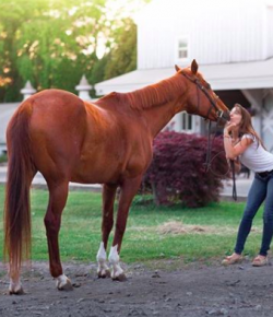 #goriding ‘Grams of the Week