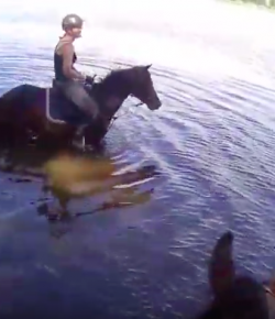 World Equestrian Brands Helmet Cam: Baby It’s Hot Outside