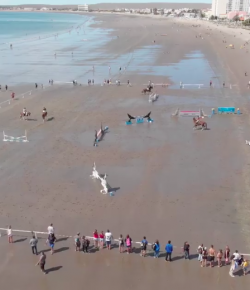 Thursday Video: Horse Show on the Beach