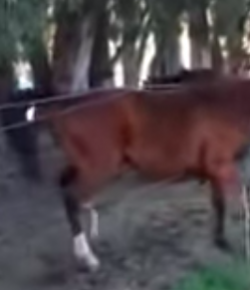 #TGIF: Breaking Out Early