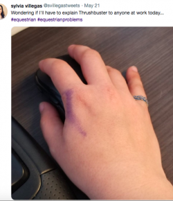 7 #EquestrianProblems According to Twitter