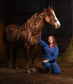 Clipping With a Twist