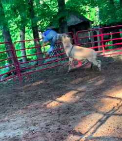 Kentucky Performance Products ‘Oh Crap’ Monday