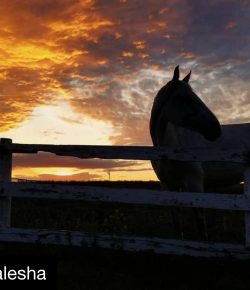 #goriding ‘Grams of the Week