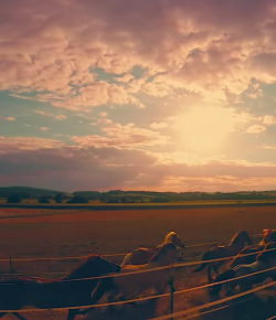 World Equestrian Brands Drone Cam: The Golden Hour