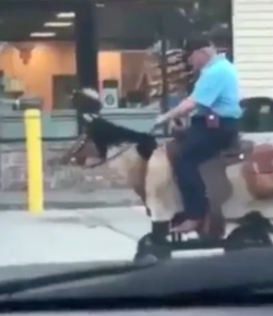 Thursday Video: That’s Just How He Rolls