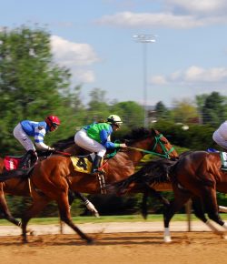 Racing in the Digital Age: Transforming Horse Racing Fan Experience with Technology