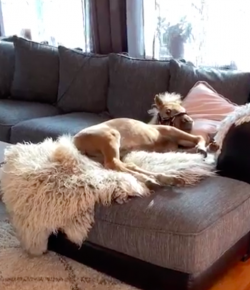 #TGIF: Big Plans for the Weekend