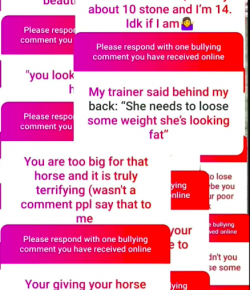 Bullying in the Horse Community