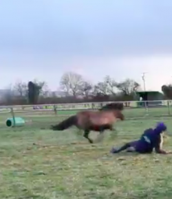 Kentucky Performance Products: ‘Oh Crap’ Monday